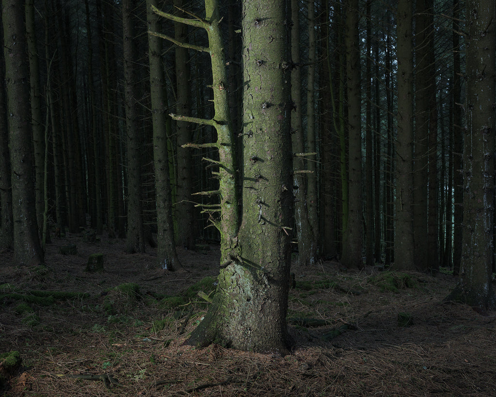 THE CODE FOR FLOWERS. THE LAST STAR TO SHINE – Al Brydon