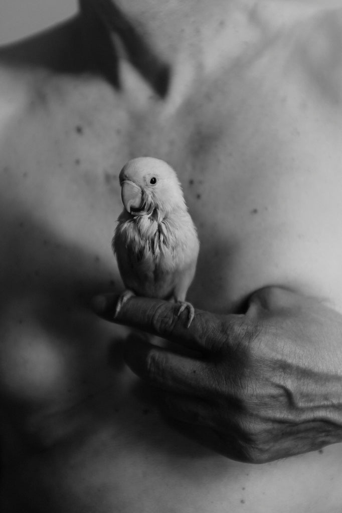 The Rooted Heart Began to Change’ Allan Salas