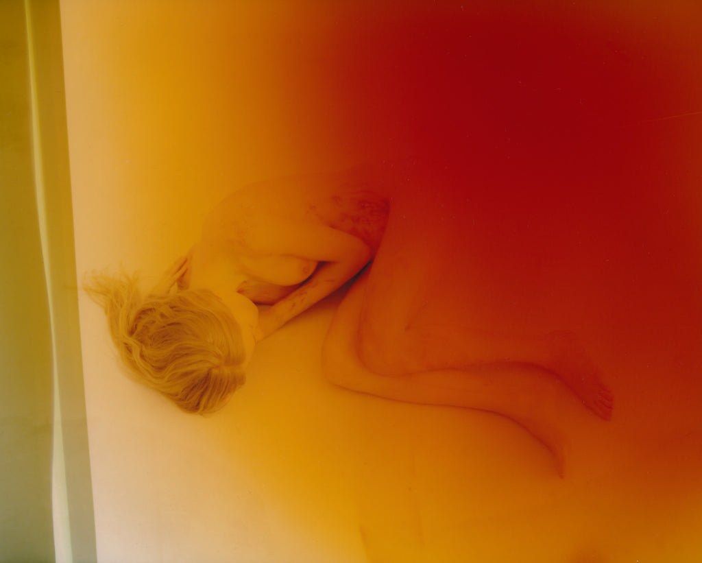 MEMORY – Anastasiia Lisitsyna