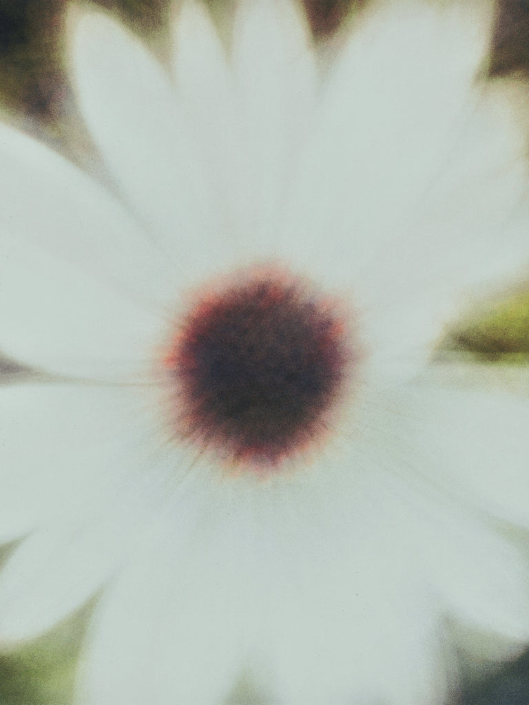 INTIMATE ANONYMITY – Yuhao Chang