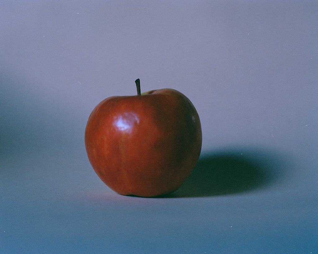 DEADFALL – Max Ferguson