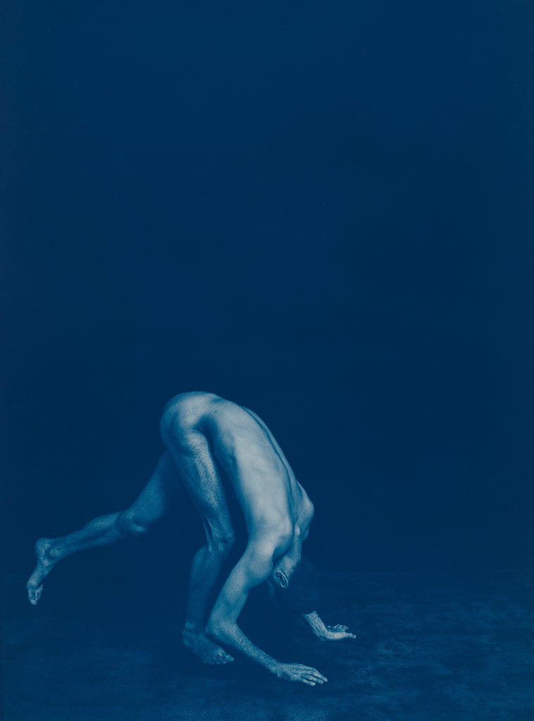 METAMORPHOSIS – Elizabeth Heyert