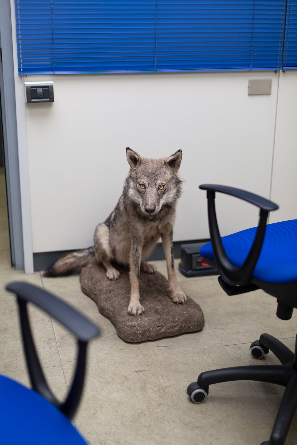 Y È PI DE TEN QUE DE VIA – Greta Valente