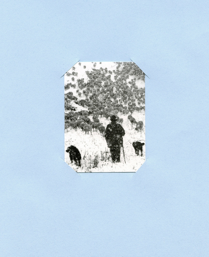 LE SOLEIL PASSE A L’EMBRANCHEMENT – Iris Millot