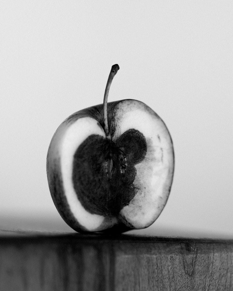 YOU FELT THE ROOTS GROW – Sabine Hess