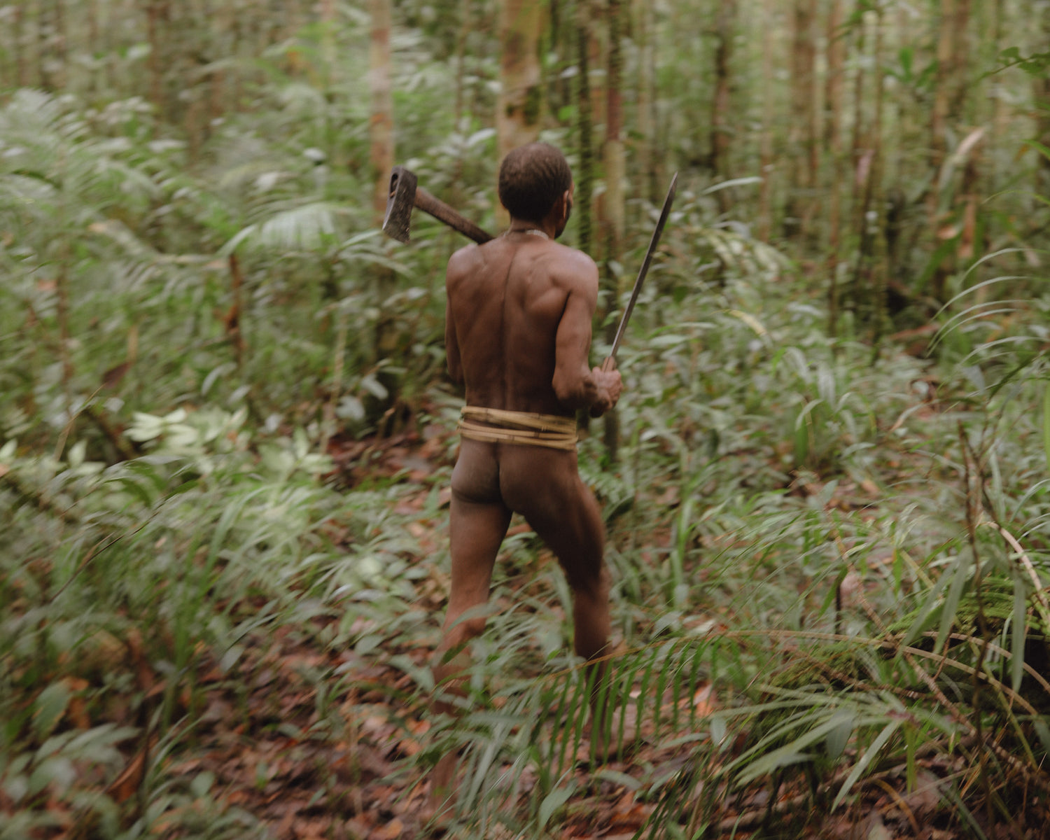 KOROWAI – Pie Aerts