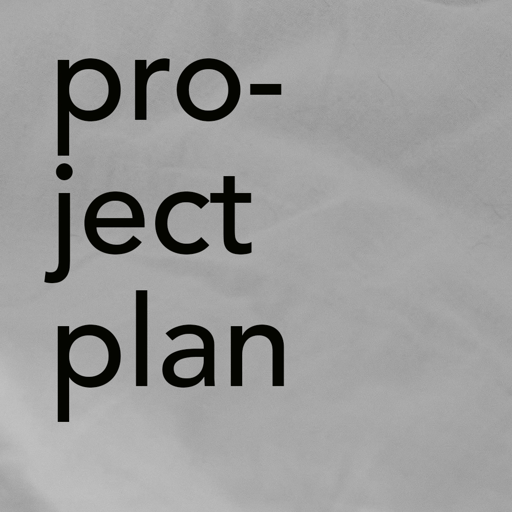 Online submission - Project plan