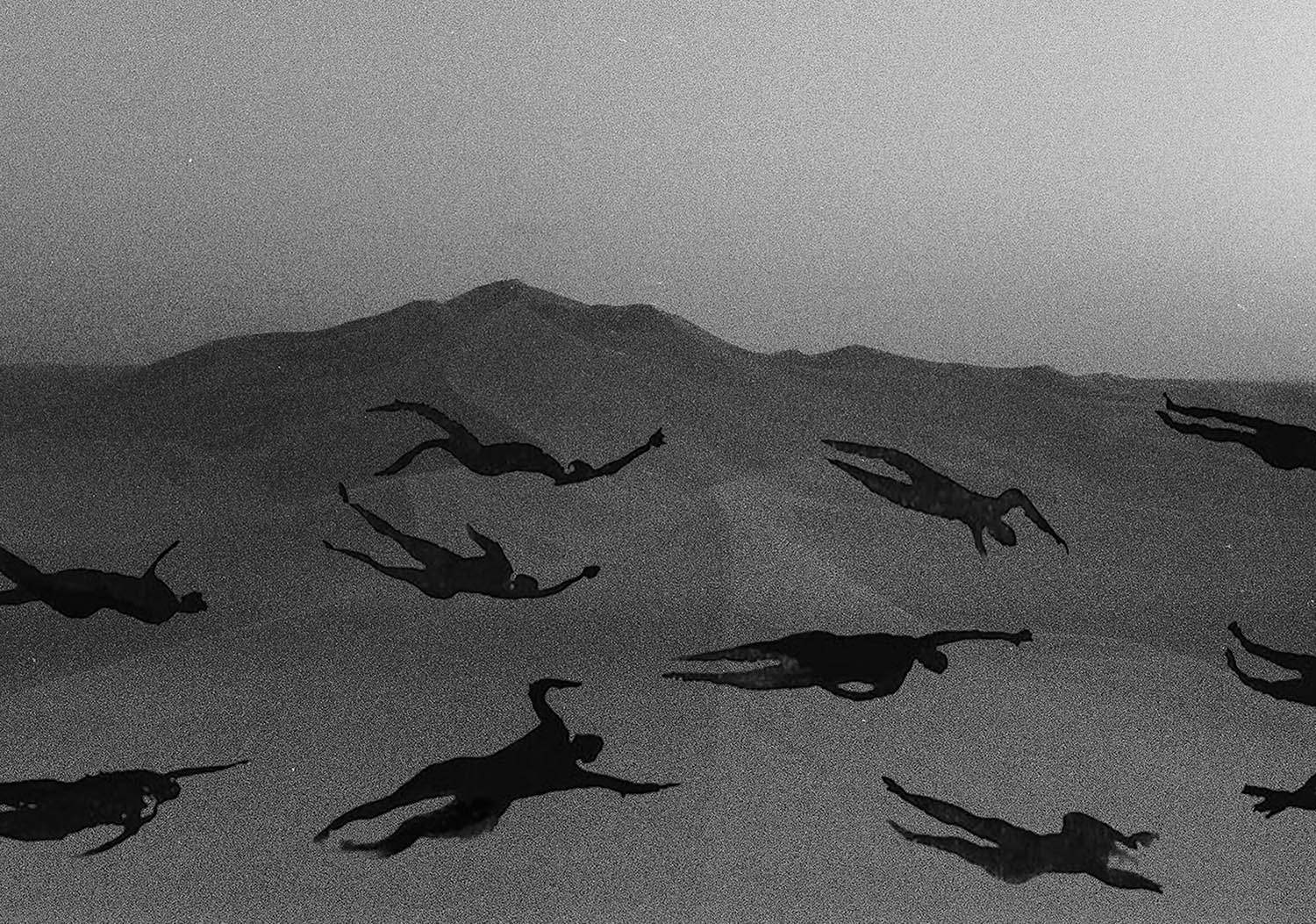 Of all the wild paths – Claire Amaouche