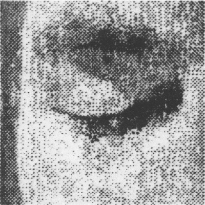 Archives – Bailey McDermott