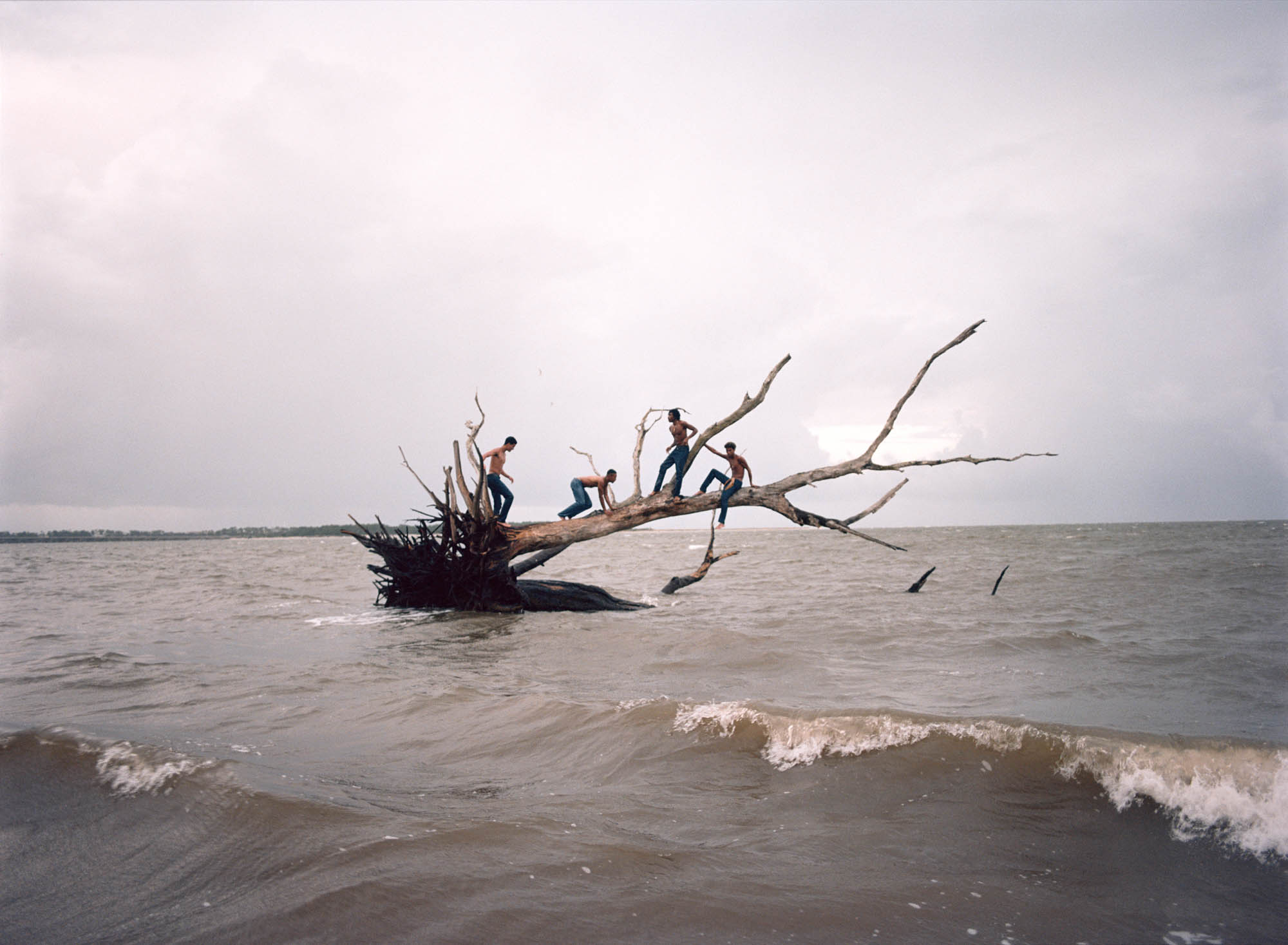 Florida Boys – Josh Aronson