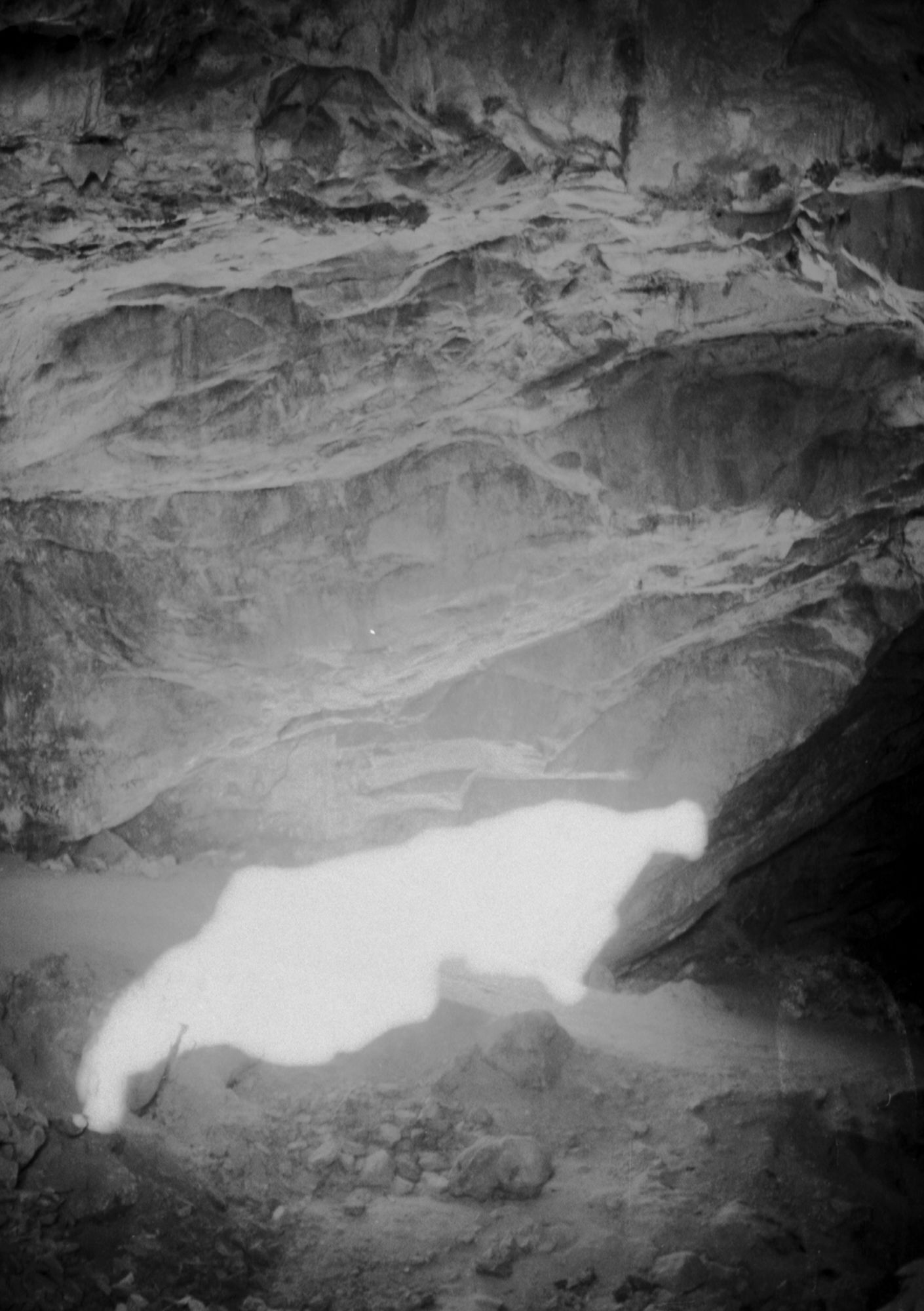 I Only Speak To Birds When I’m Mourning For This World – Danae Danica