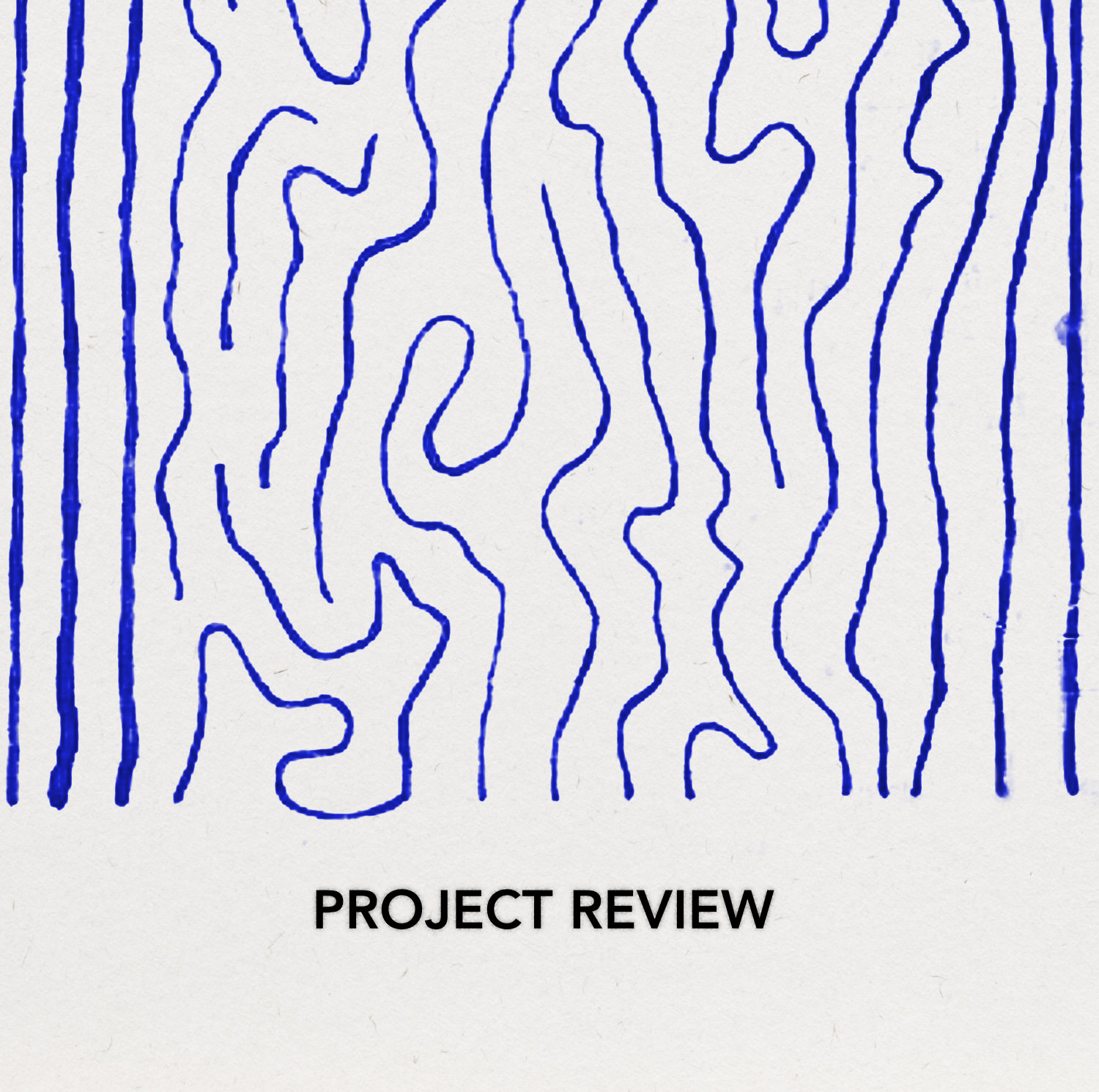 Project Review
