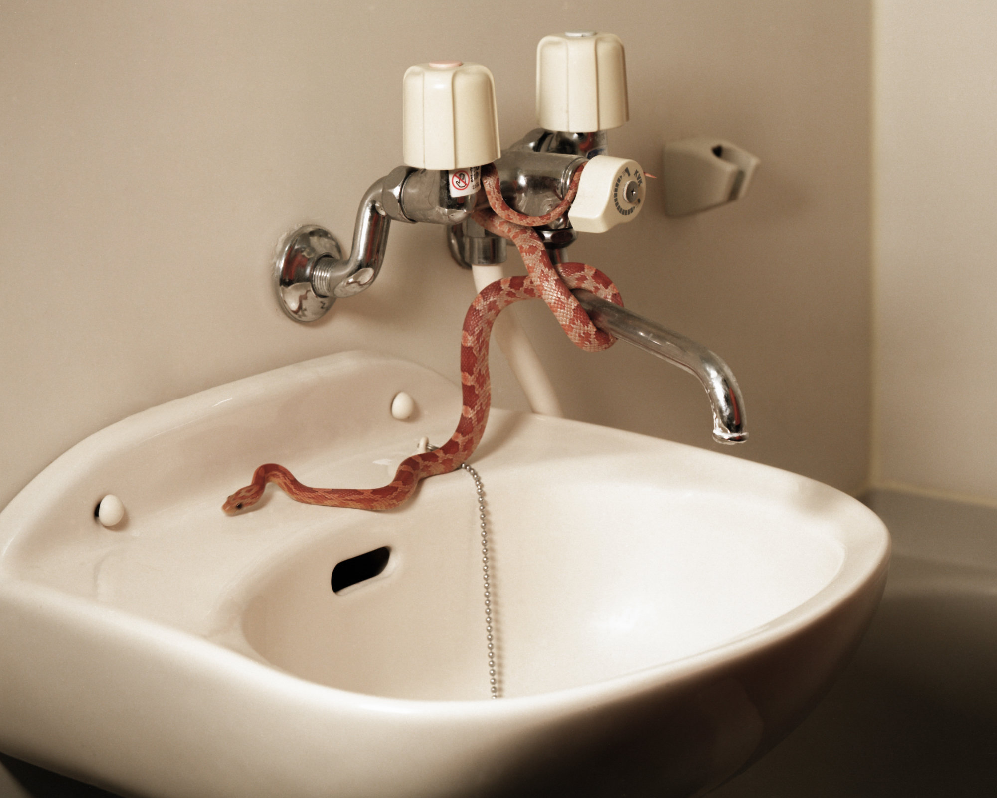 The Dual Gaze Of The Moon – Yin Xiangqi